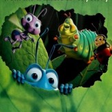 a bug's life