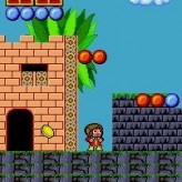 alex kidd in the enchanted castle