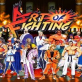 art of fighting