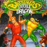 battletoads & double dragon - the ultimate team