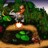 donkey kong country