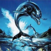 ecco the dolphin