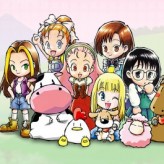 harvest moon: more friends of mineral town