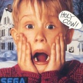 home alone