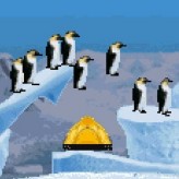 march of the penguins