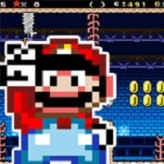 new mario’s adventure