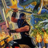 ninja gaiden