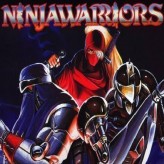 the ninja warriors