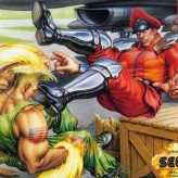 street fighter ii': champion edition