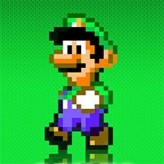 super luigi: the forgotten adventure