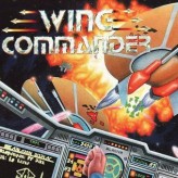 wing commander