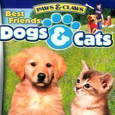 best friends: dogs & cats