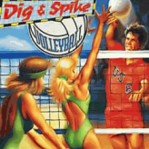 dig & spike volleyball