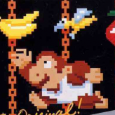 donkey kong jr.