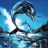 ecco the dolphin