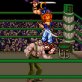 final fight