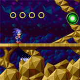 sonic: hidden palace adventure