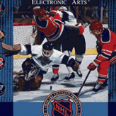 nhl hockey 91