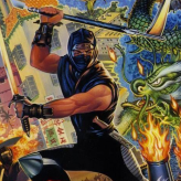 ninja gaiden