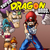 super dragon bros