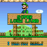 super luigi land