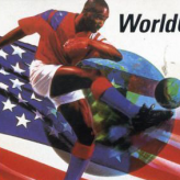 world cup usa 94